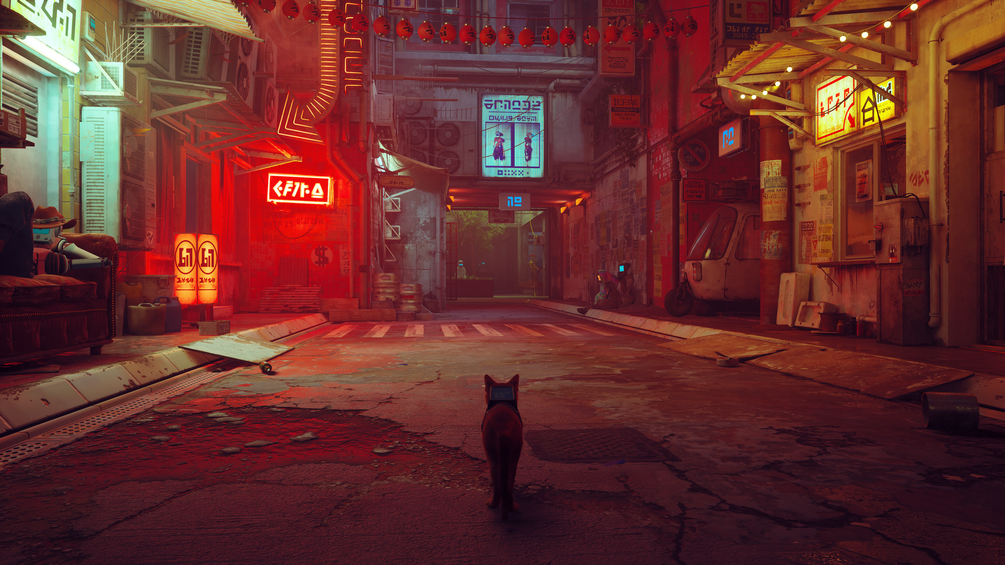Stray