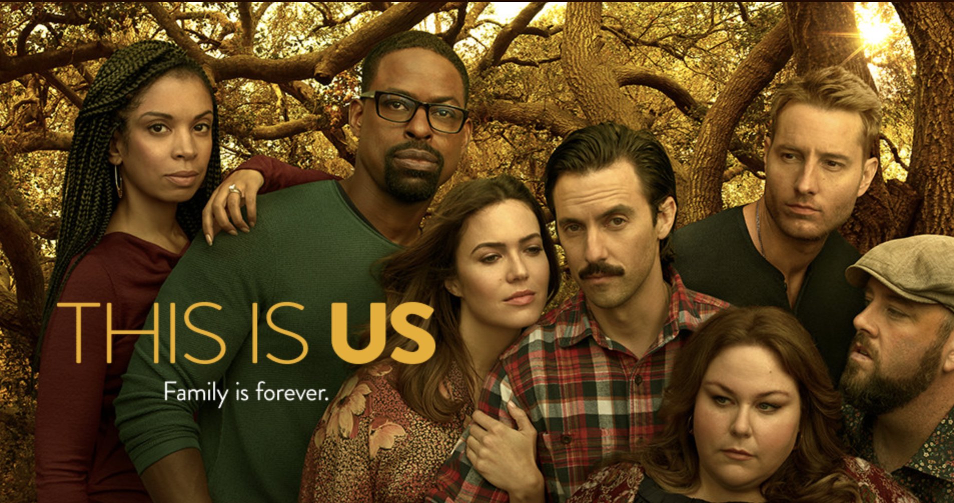 This Is Us