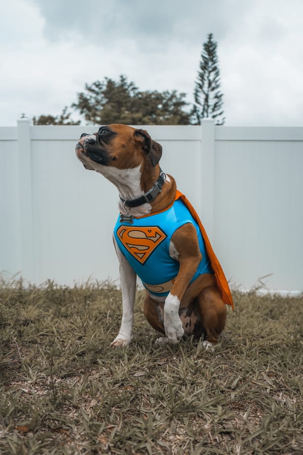 Superhero Fatigue